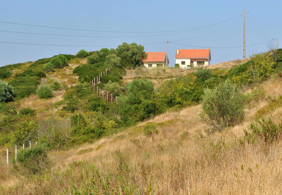 ... ����� ����� ���������(�������) �� PhotoGeek.ru #������ ��� ������� #������