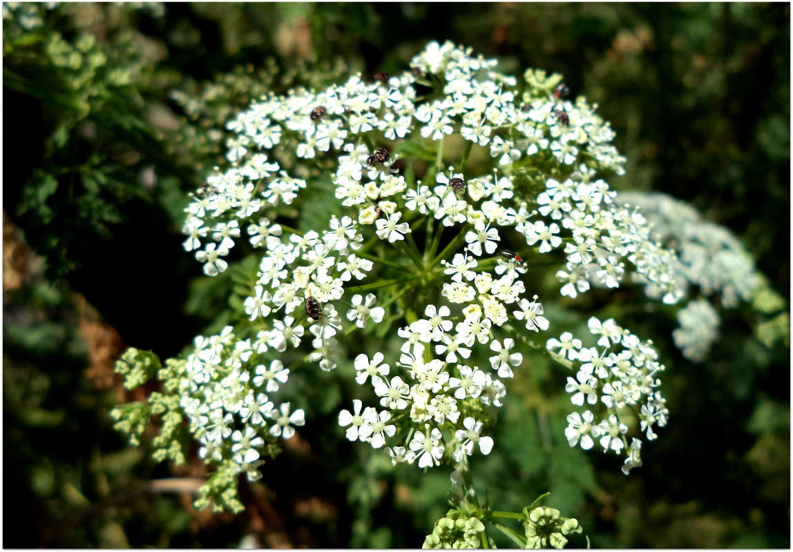 ... ����� ����� ���������(�������) �� PhotoGeek.ru #������ ��� ������� #����� ��������������