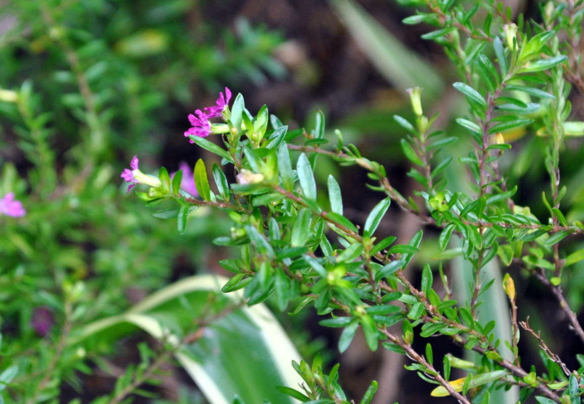 ... ����� ����� ���������(�������) �� PhotoGeek.ru #������ ��� ������� #����� ��������������