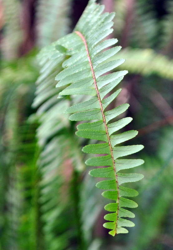 ���������� ����� ����� ���������(�������) �� PhotoGeek.ru #������ ��� ������� #����� ��������������