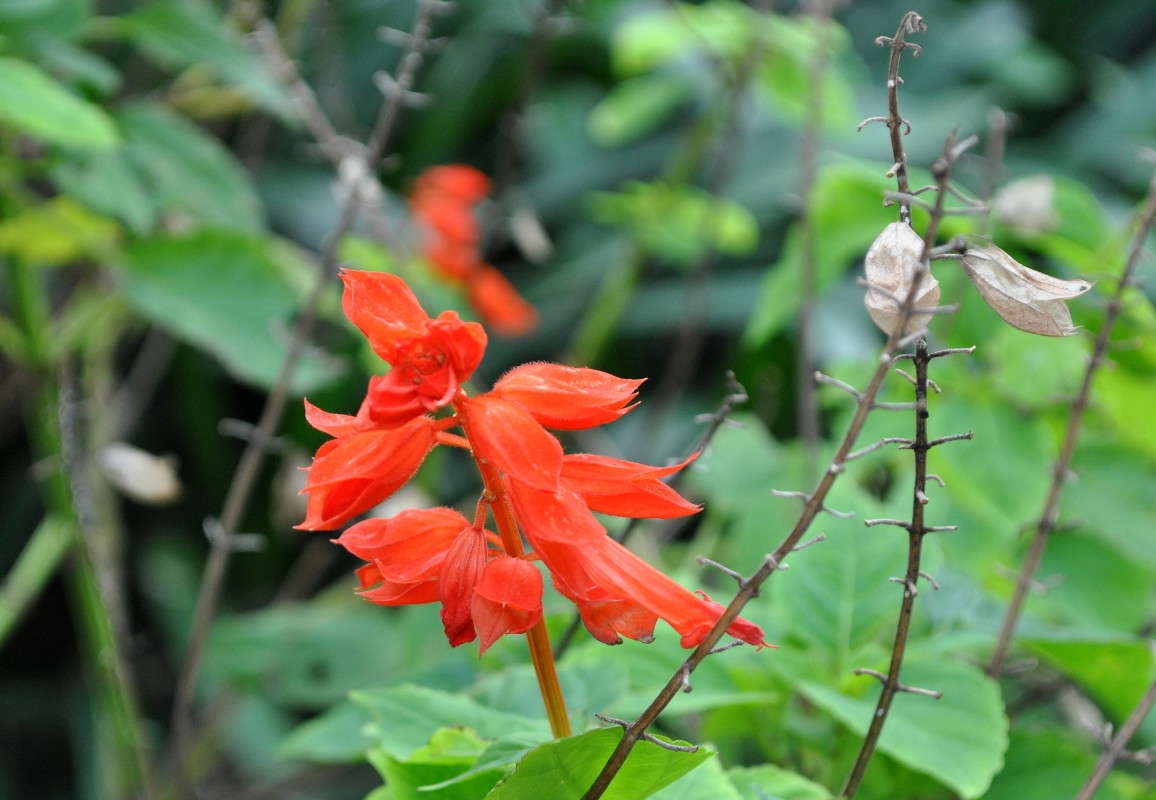 ... ����� ����� ���������(�������) �� PhotoGeek.ru #������ ��� ������� #����� ��������������