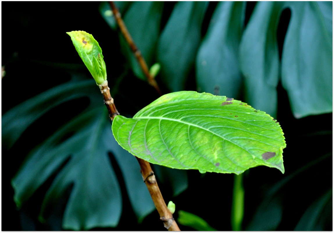 ... ����� ����� ���������(�������) �� PhotoGeek.ru #������ ��� ������� #����� ��������������