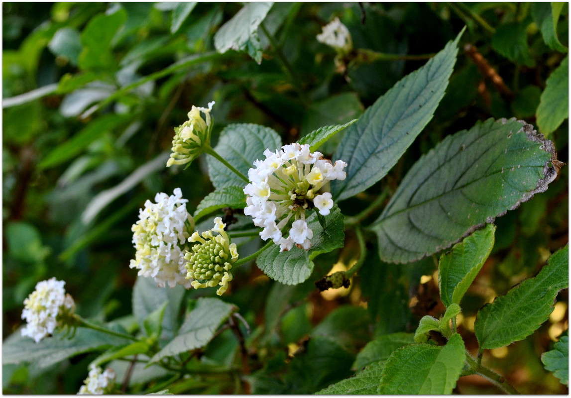 ����� ������) ����� ����� ���������(�������) �� PhotoGeek.ru #������ ��� ������� #����� ��������������