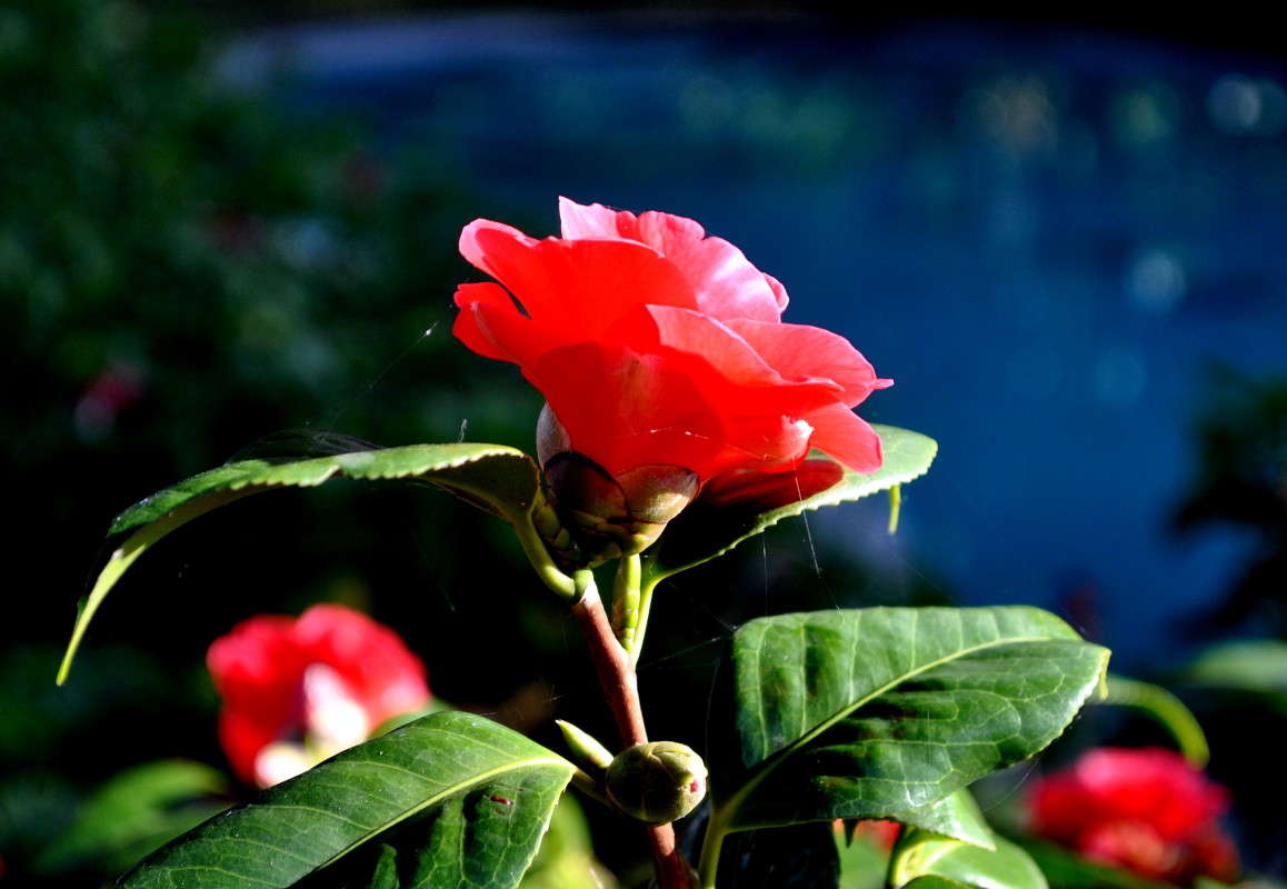 ������� ����� ����� ���������(�������) �� PhotoGeek.ru #������ ��� ������� #����� ��������������