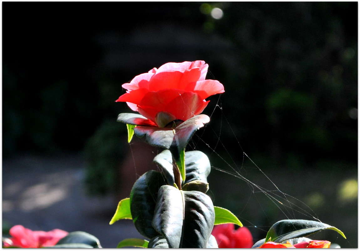 ... ����� ����� ���������(�������) �� PhotoGeek.ru #������ ��� ������� #����� ��������������