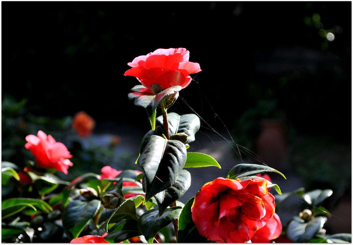 ... ����� ����� ���������(�������) �� PhotoGeek.ru #������ ��� ������� #����� ��������������