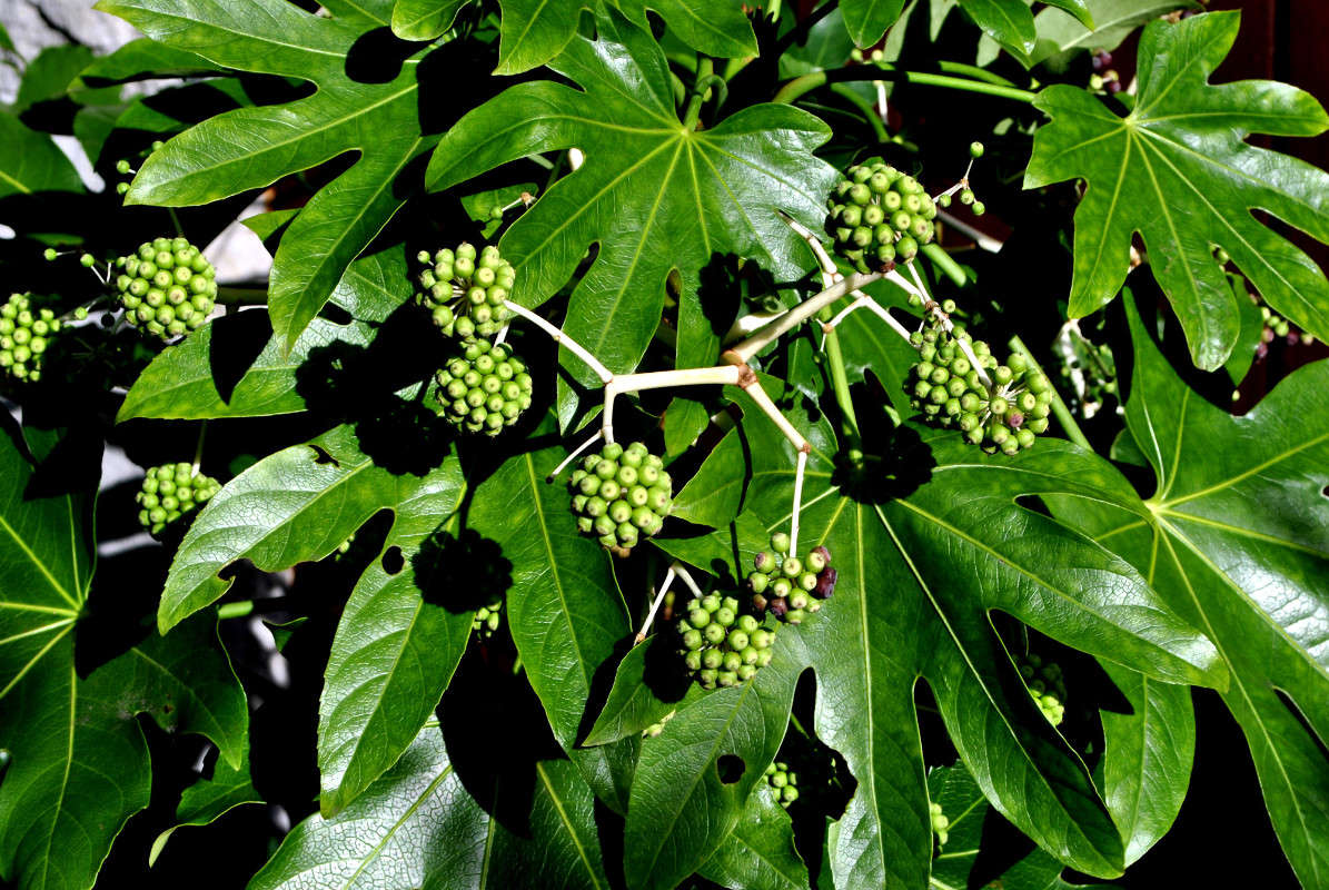 ������) ����� ����� ���������(�������) �� PhotoGeek.ru #������ ��� ������� #����� ��������������