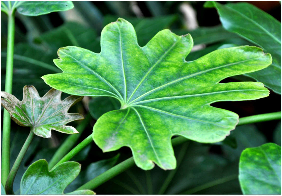 ������... ����� ����� ���������(�������) �� PhotoGeek.ru #������ ��� ������� #����� ��������������