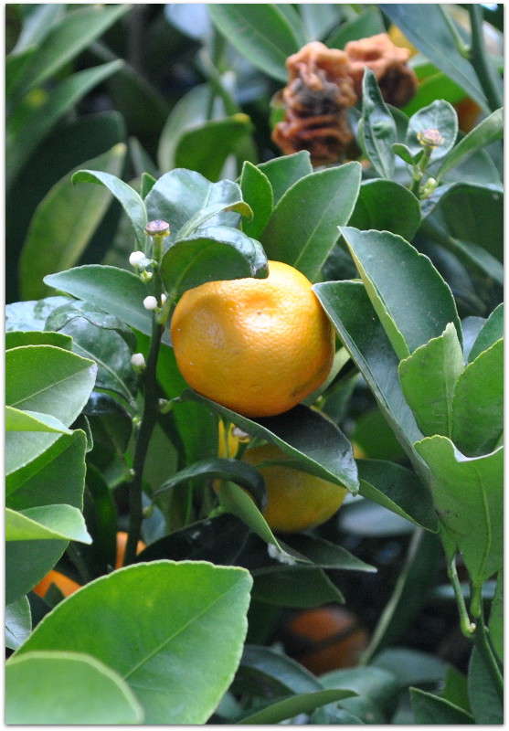 ������ ������) ����� ����� ���������(�������) �� PhotoGeek.ru #����� ��������������