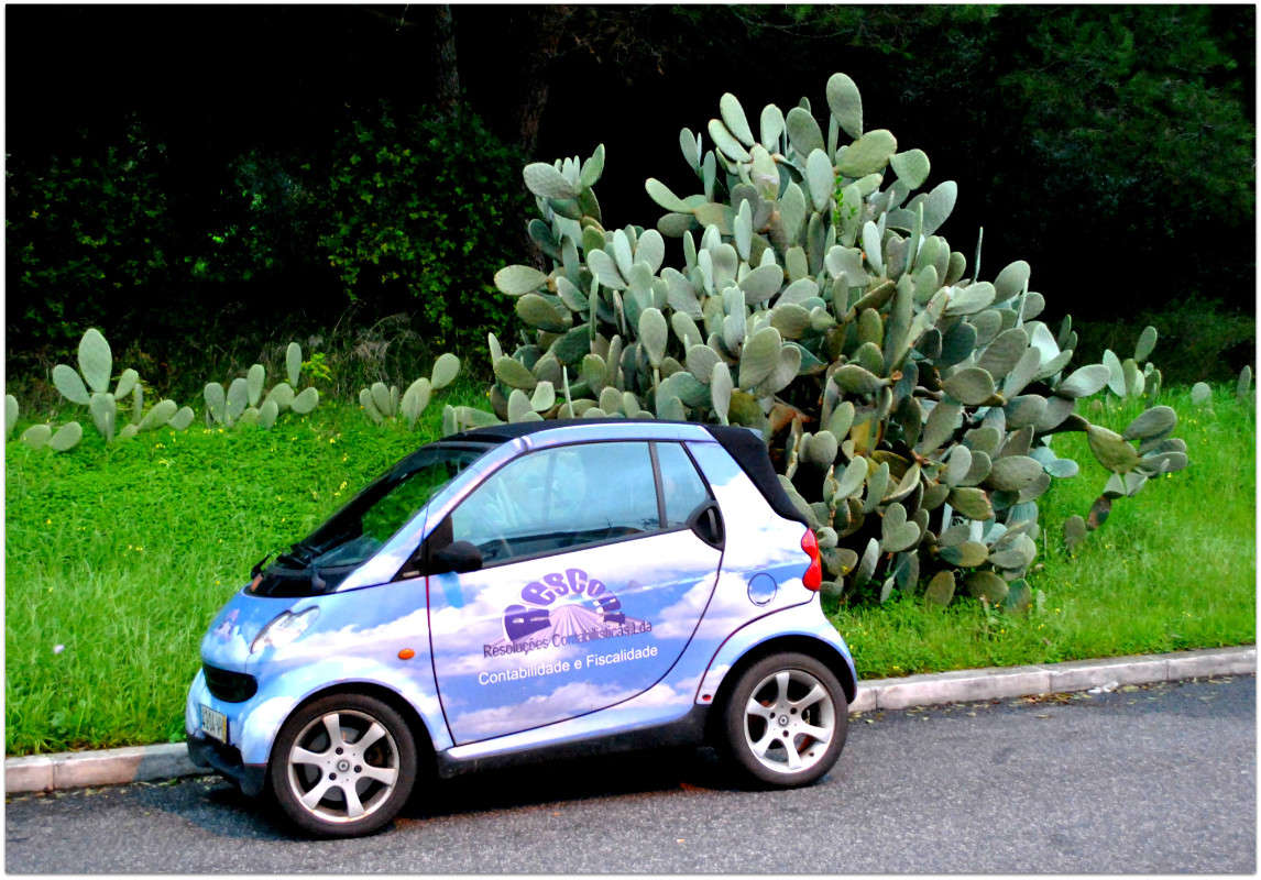 "�����",�...������!)) ����� ����� ���������(�������) �� PhotoGeek.ru #��������