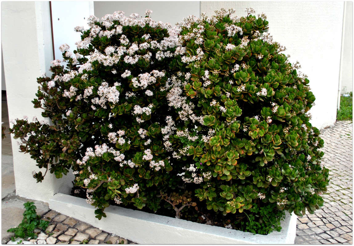 "�������� ������")) ����� ����� ���������(�������) �� PhotoGeek.ru #������ ��� ������� #����� ��������������