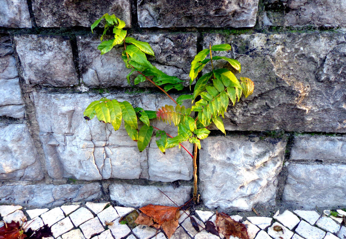 ���� � �����! ����� ����� ���������(�������) �� PhotoGeek.ru #����� ��������������