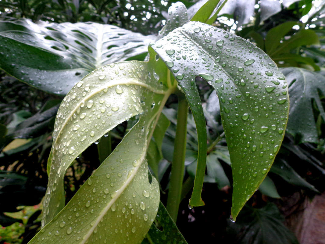 ����� ����� ����� ����� ���������(�������) �� PhotoGeek.ru #����� ��������������