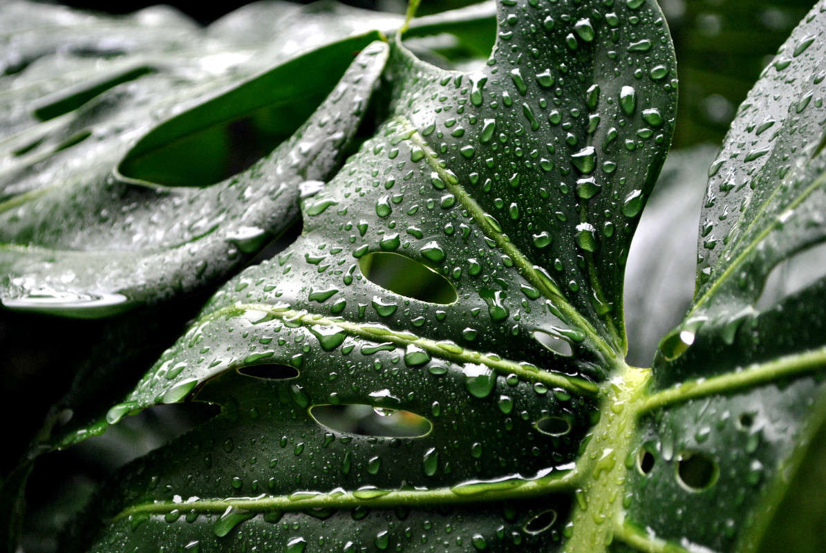 ����� �����... ����� ����� ���������(�������) �� PhotoGeek.ru #����� ��������������