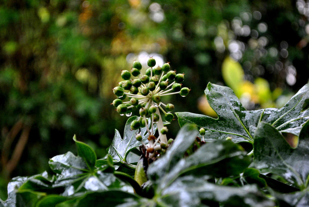 ����� ����� ����� ����� ���������(�������) �� PhotoGeek.ru #����� ��������������