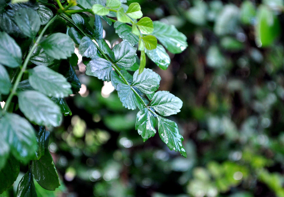 ����� ����� ����� ����� ���������(�������) �� PhotoGeek.ru #����� ��������������