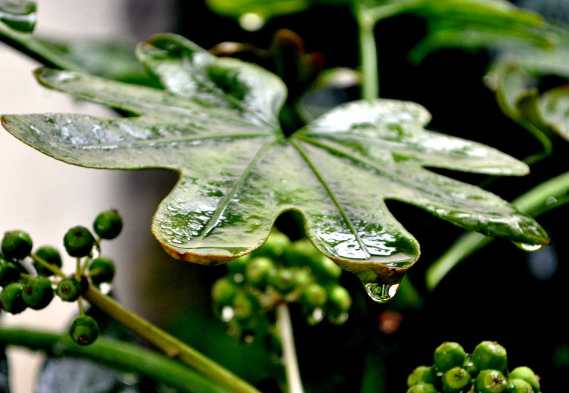 ����� ����� ����� ����� ���������(�������) �� PhotoGeek.ru #����� ��������������