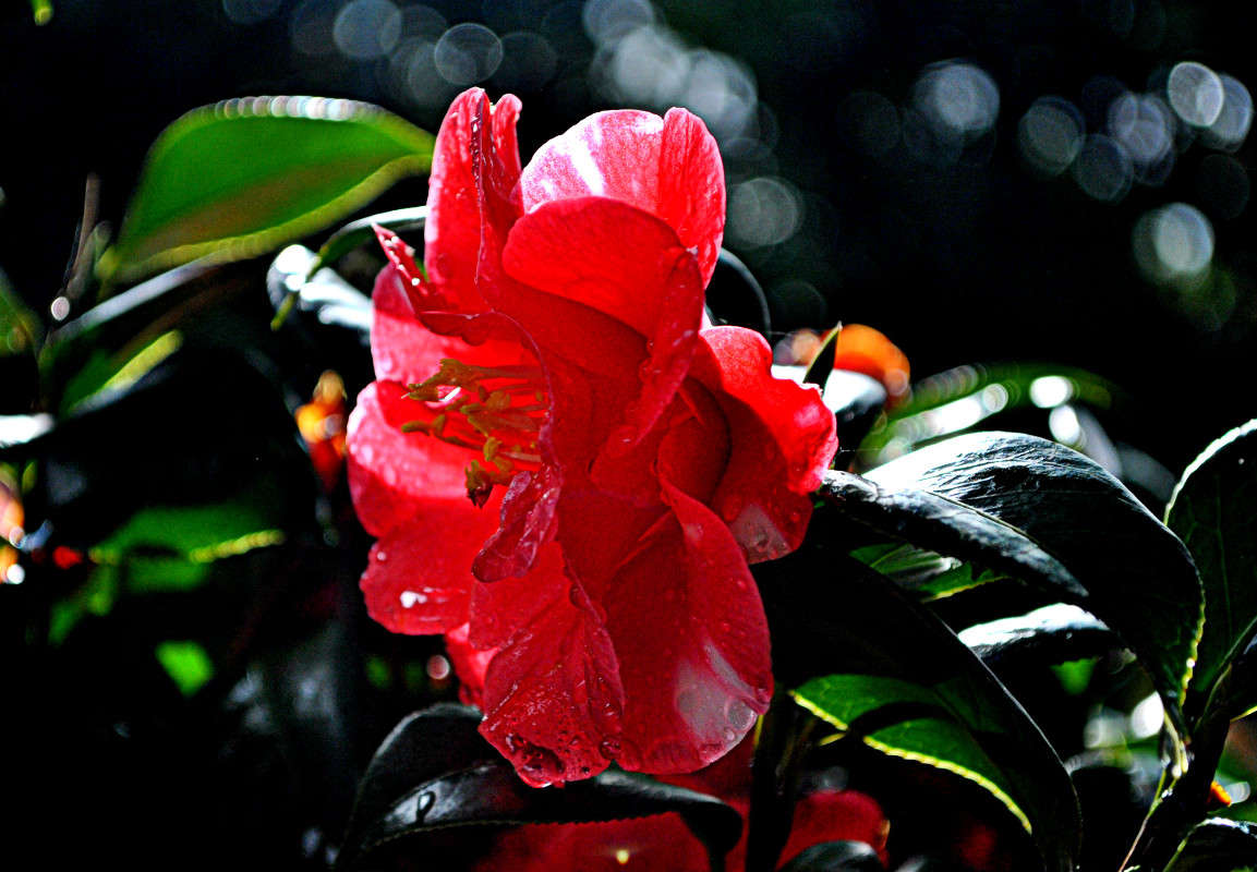 ����� ����� ����� ����� ���������(�������) �� PhotoGeek.ru #����� ��������������