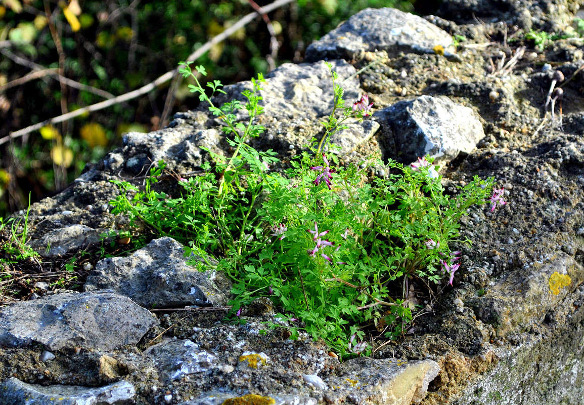 ����� �� ������ ����� ����� ���������(�������) �� PhotoGeek.ru #������ ��� ������� #����� ��������������