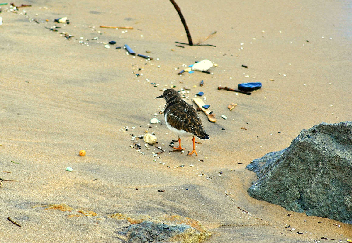 ����� �������. ����� ����� ���������(�������) �� PhotoGeek.ru #�������� ���