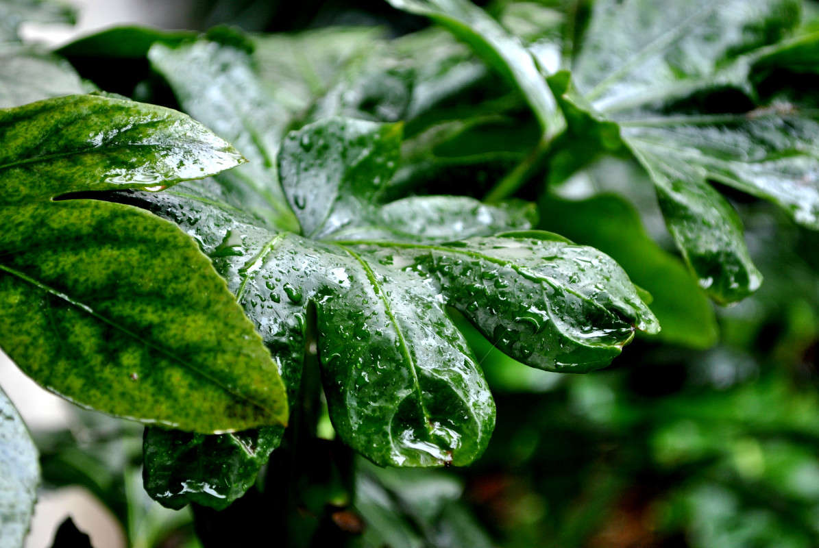 ����� �����... ����� ����� ���������(�������) �� PhotoGeek.ru #������ ��� ������� #����� ��������������