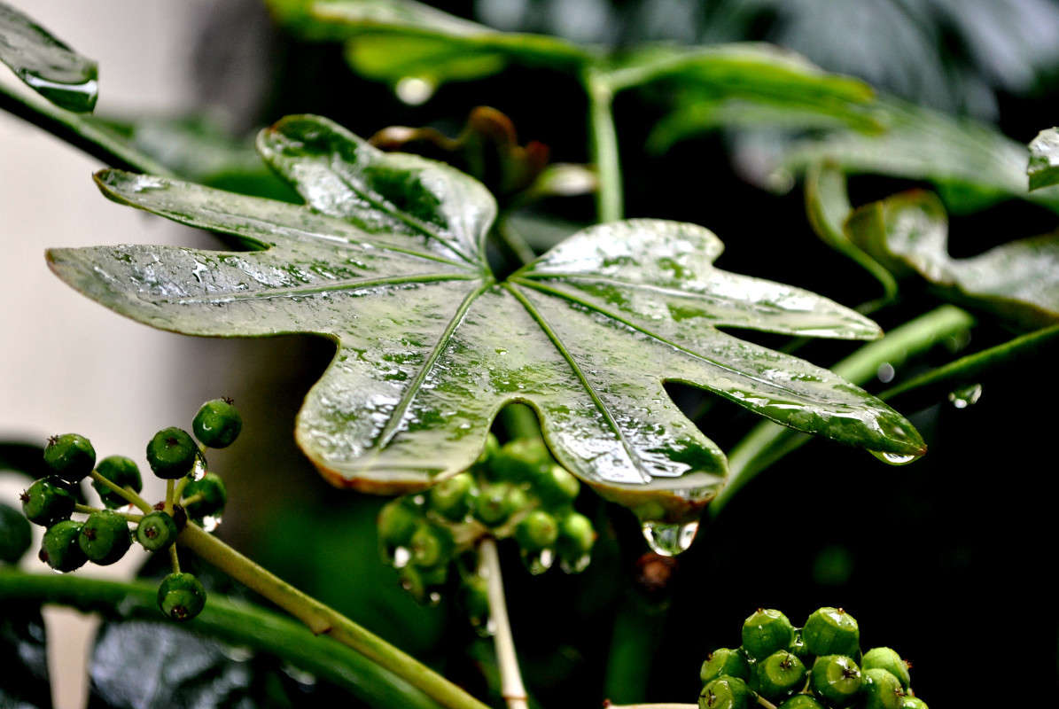 ... ����� ����� ���������(�������) �� PhotoGeek.ru #������ ��� ������� #����� ��������������