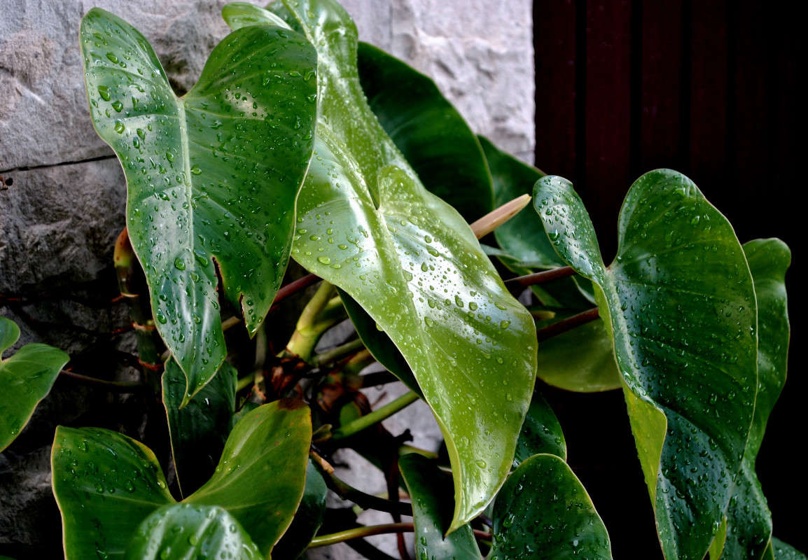 ... ����� ����� ���������(�������) �� PhotoGeek.ru #������ ��� ������� #����� ��������������