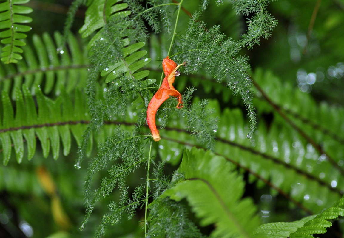 ... ����� ����� ���������(�������) �� PhotoGeek.ru #����� ��������������