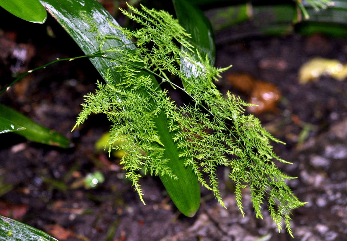 ... ����� ����� ���������(�������) �� PhotoGeek.ru #������ ��� ������� #����� ��������������