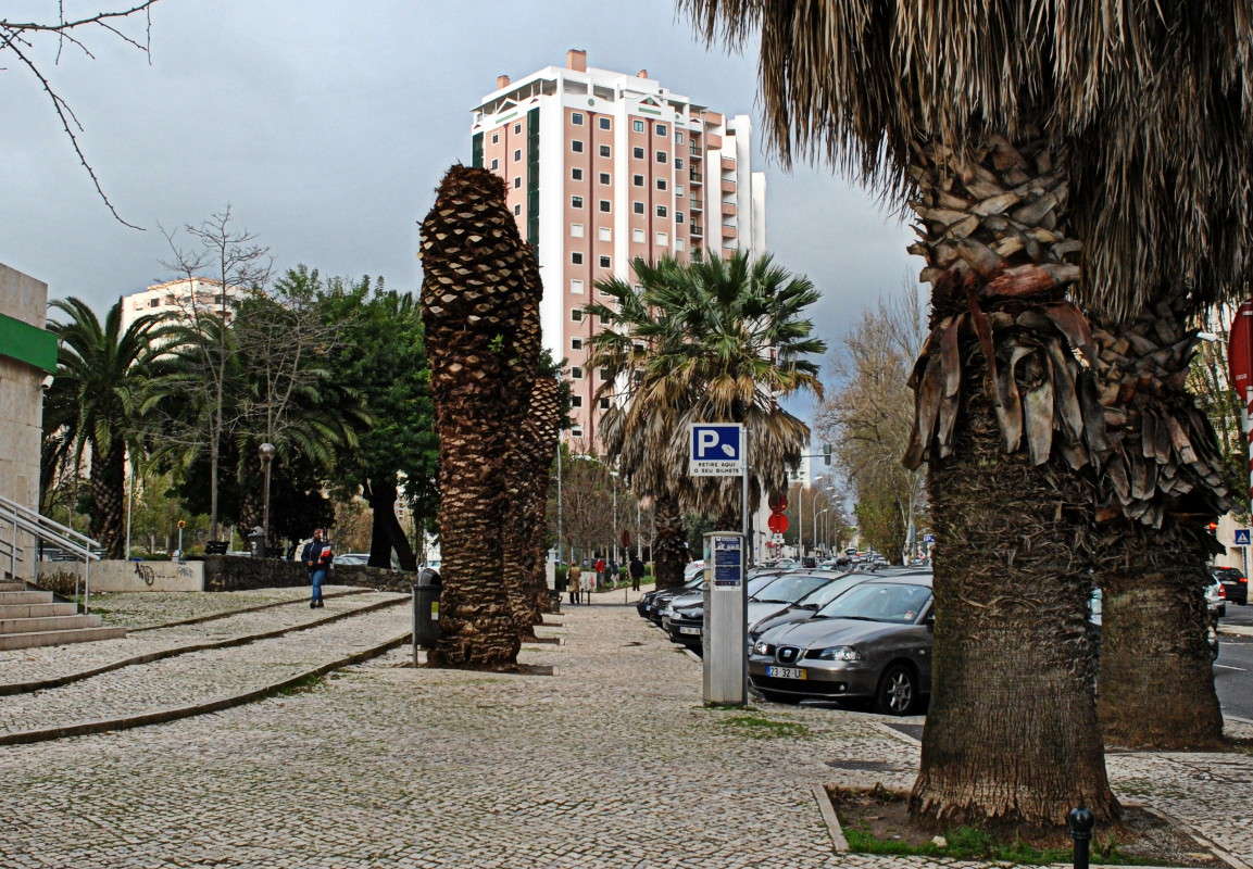 �����. ����� ����� ���������(�������) �� PhotoGeek.ru #����� #��������� ������