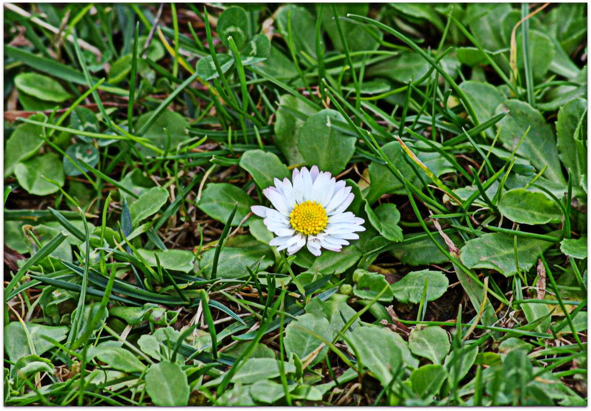 ... ����� ����� ���������(�������) �� PhotoGeek.ru #����� ��������������