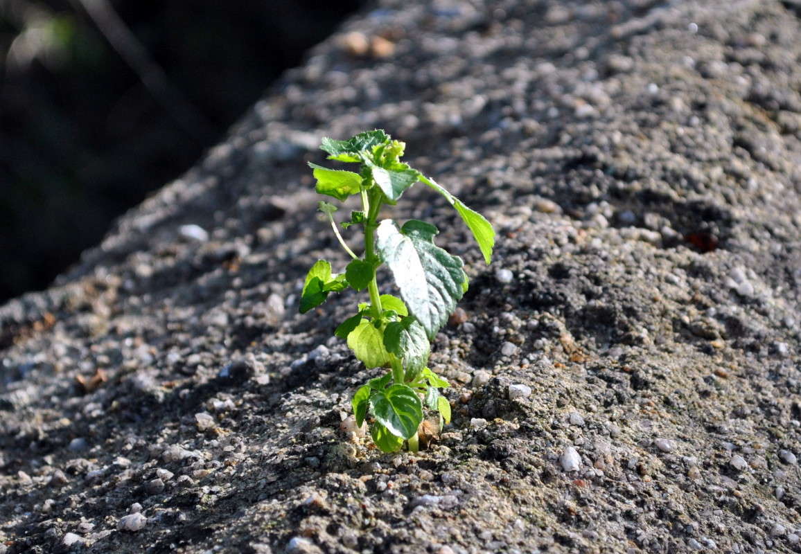 ... ����� ����� ���������(�������) �� PhotoGeek.ru #����� ��������������