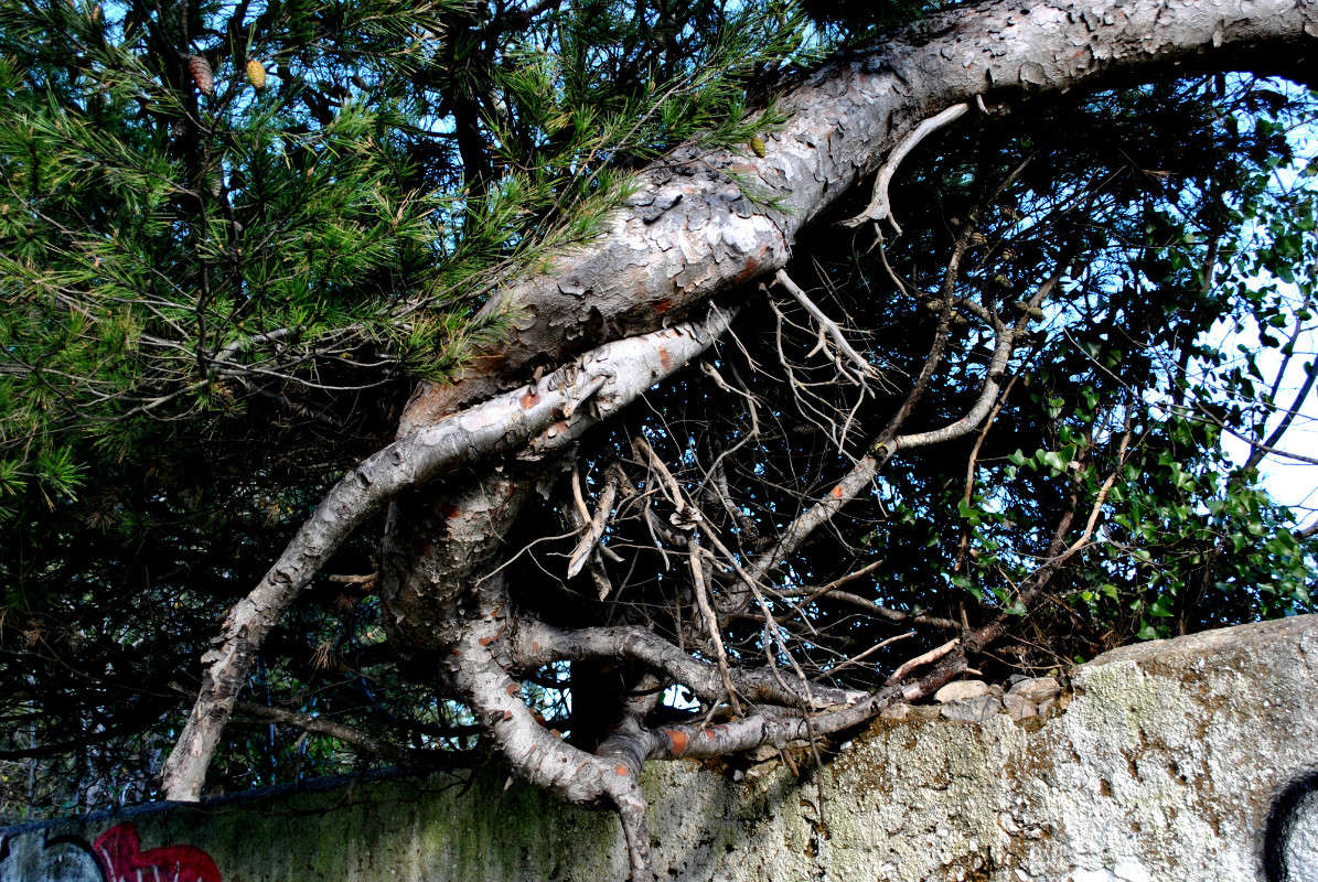 ������� ������� ����� ����� ���������(�������) �� PhotoGeek.ru #������ ��� ������� #����� ��������������