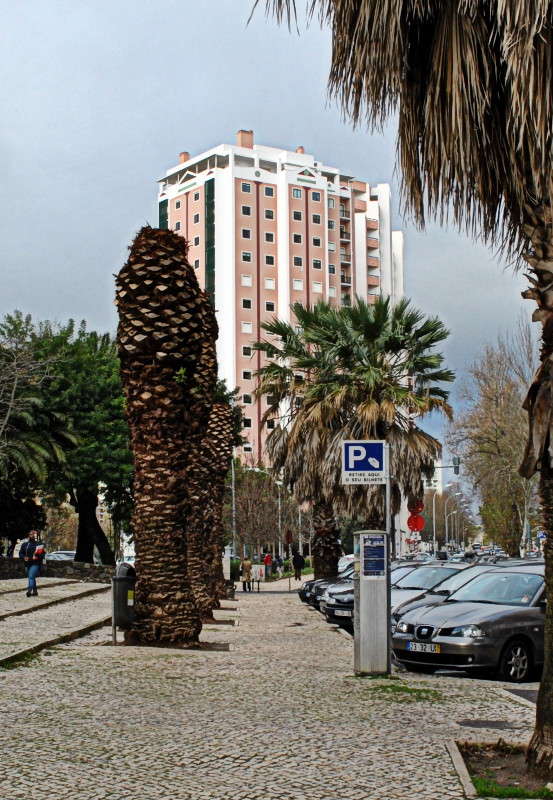 ������� �2 ����� ����� ���������(�������) �� PhotoGeek.ru #����� #����������� #��������� ������