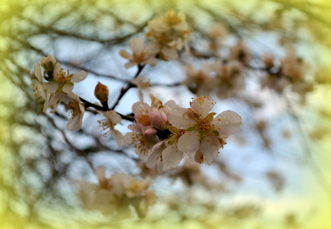 ������� �����)) ����� ����� ���������(�������) �� PhotoGeek.ru #����� ��������������