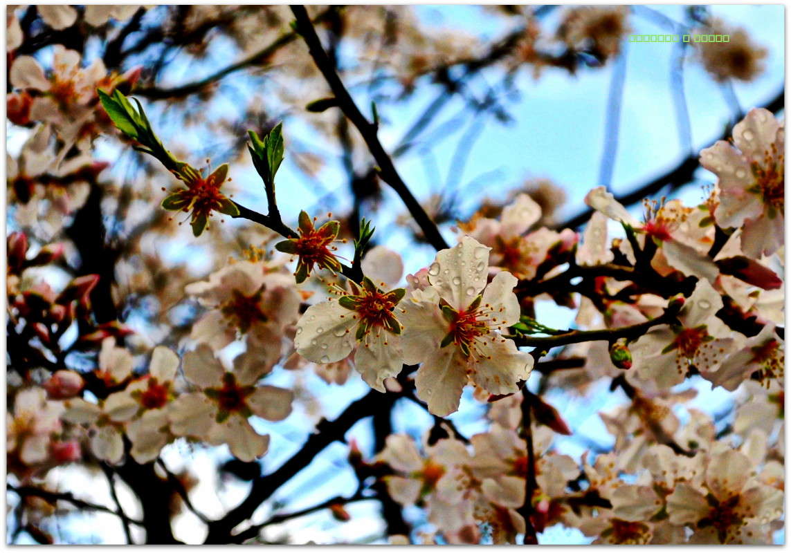 �� ������ �����. ����� ����� ���������(�������) �� PhotoGeek.ru #������ ��� ������� #����� ��������������