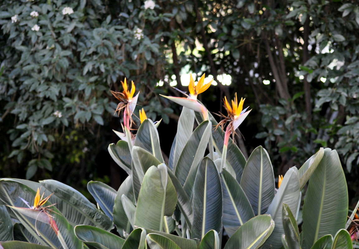 ��������� ����� ����� ���������(�������) �� PhotoGeek.ru #������ ��� ������� #����� ��������������