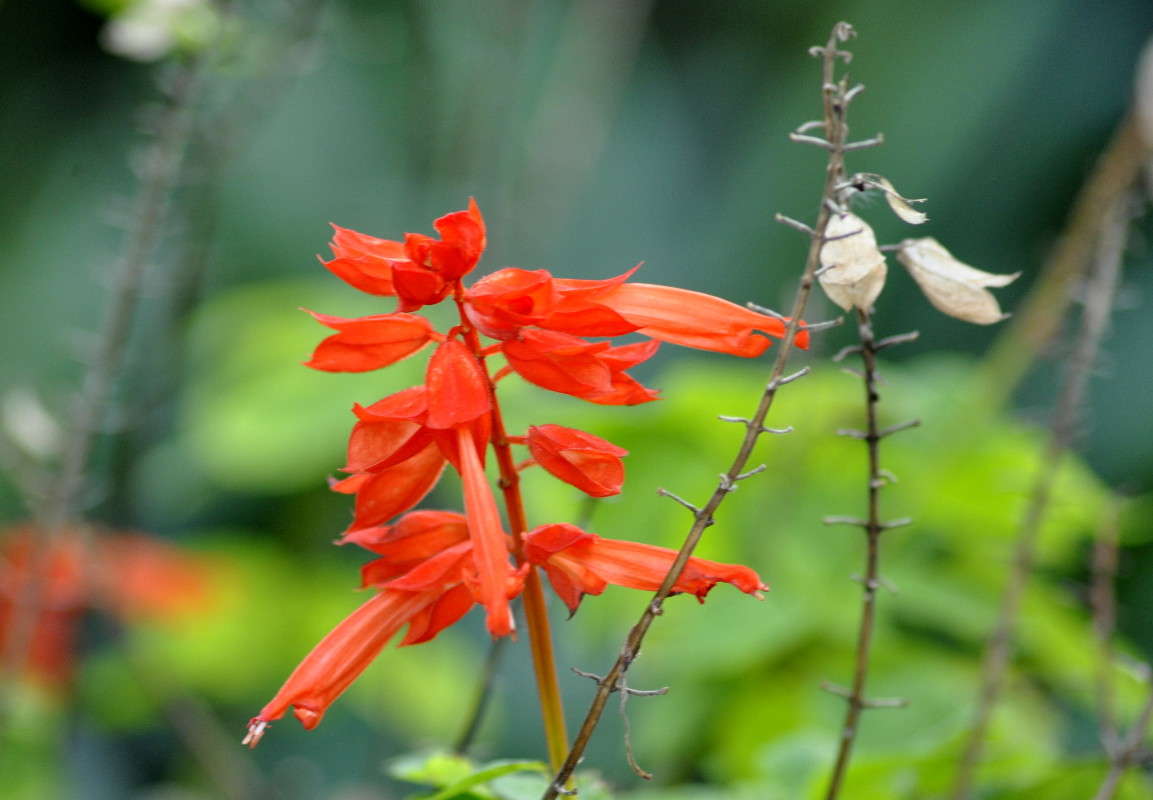 �� ������� ����� ����� ����� ���������(�������) �� PhotoGeek.ru #������ ��� ������� #����� ��������������