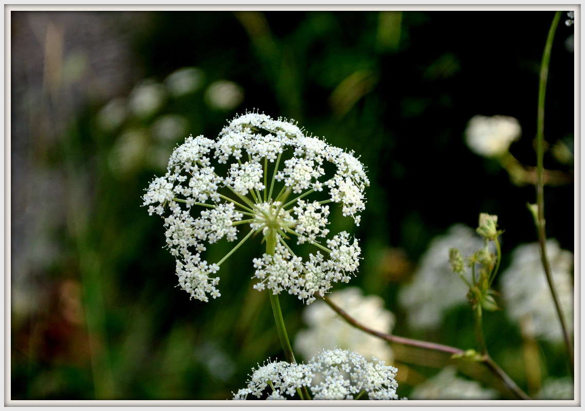 �����)) ����� ����� ���������(�������) �� PhotoGeek.ru #������ ��� ������� #����� ��������������