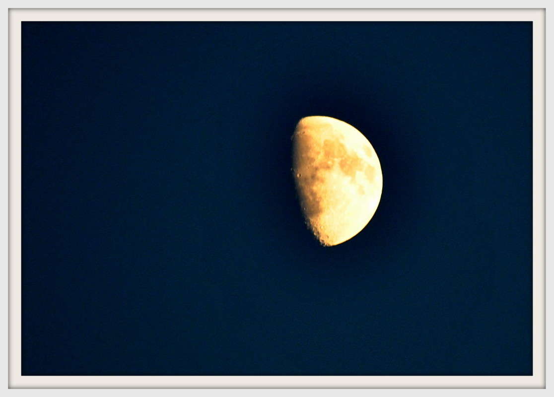 ������ �������... ����� ����� ���������(�������) �� PhotoGeek.ru #������