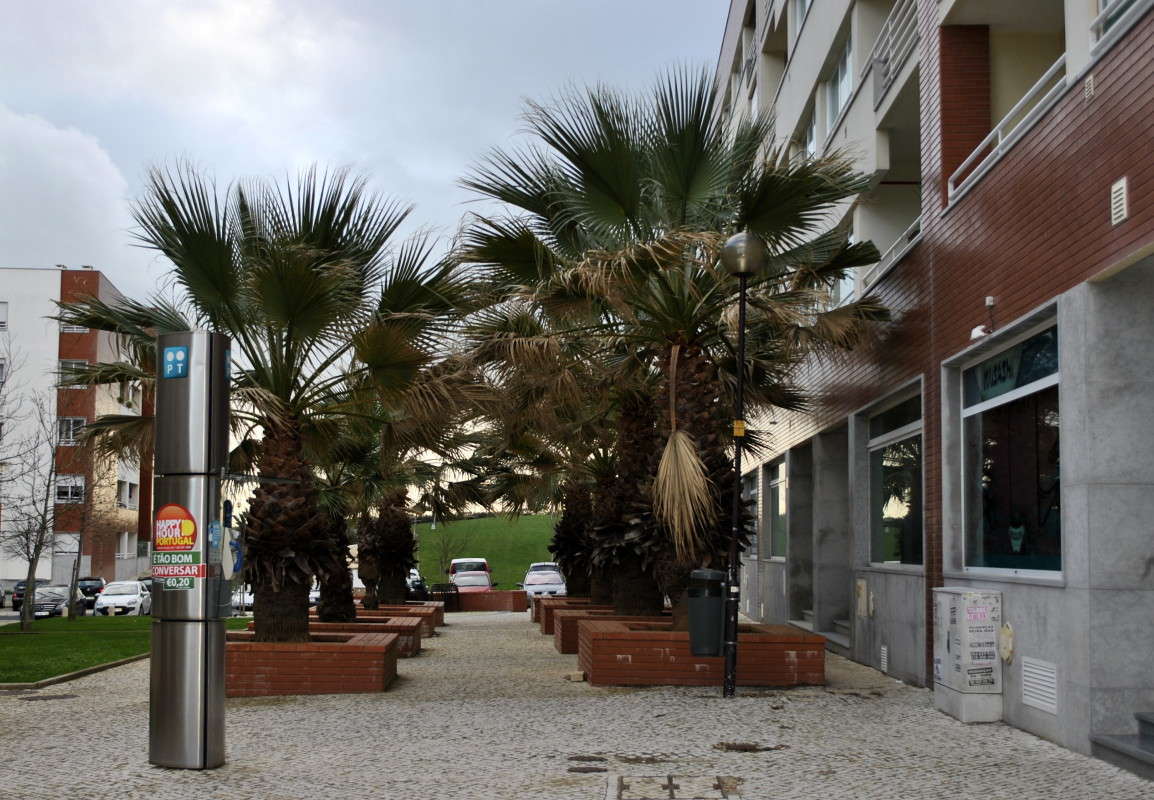 ����� ����� ����� ���������(�������) �� PhotoGeek.ru #��������