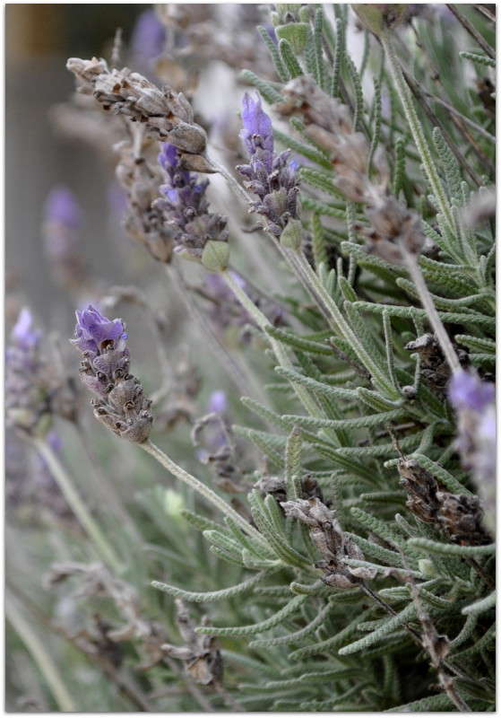 ������� ����� ����� ���������(�������) �� PhotoGeek.ru #����� ��������������