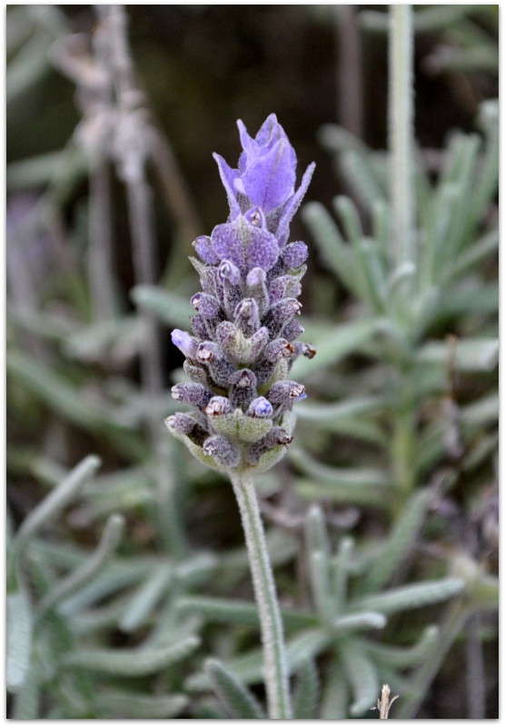 ������� ����� ����� ���������(�������) �� PhotoGeek.ru #����� ��������������