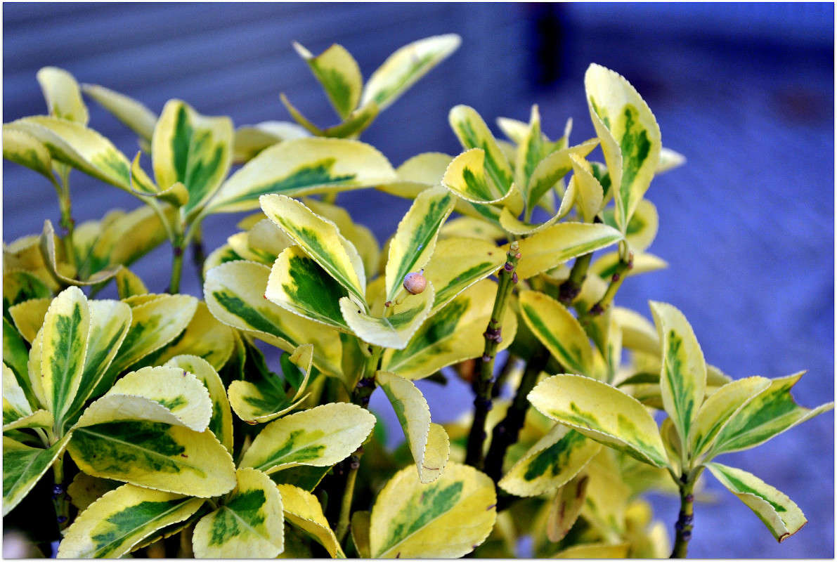 ... ����� ����� ���������(�������) �� PhotoGeek.ru #����� ��������������