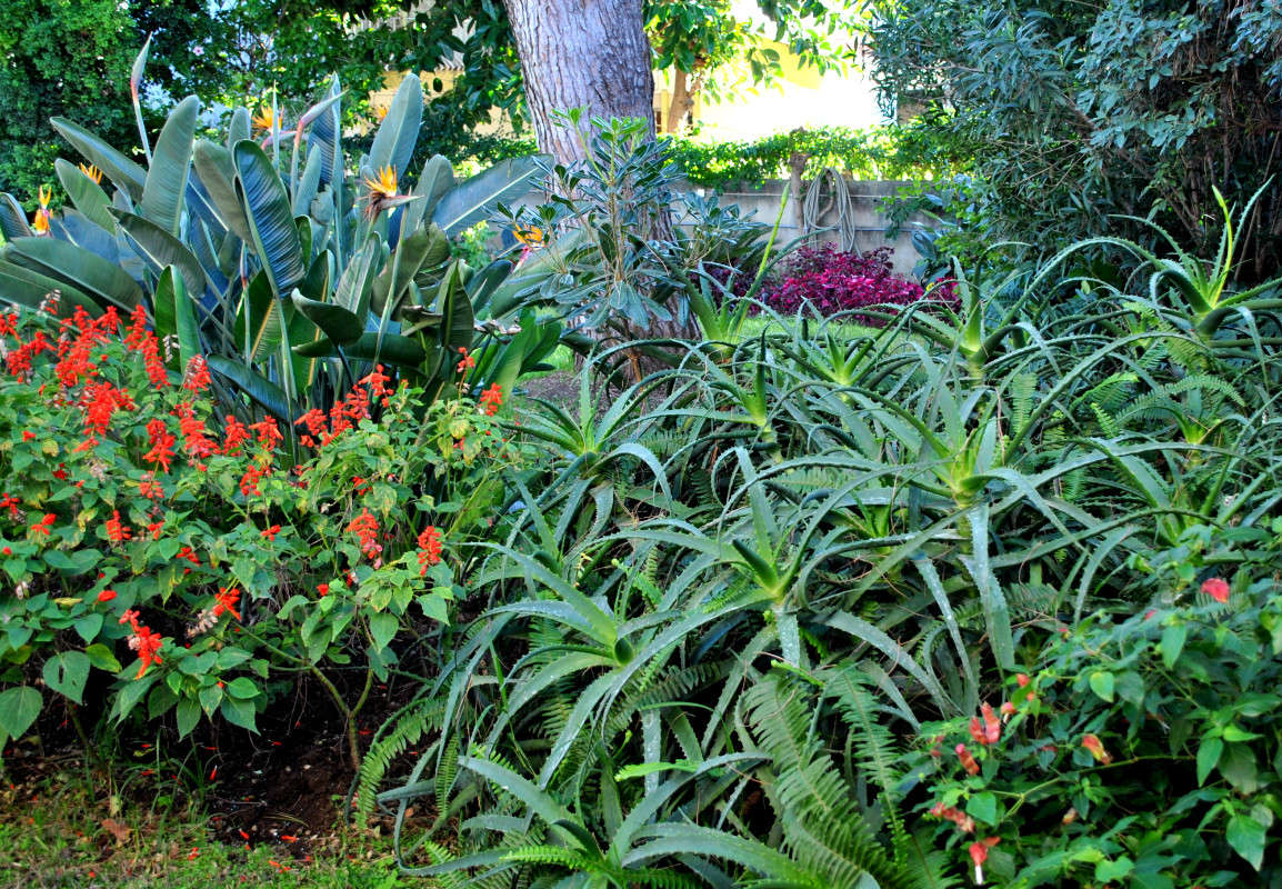 � ����. ����� ����� ���������(�������) �� PhotoGeek.ru #������ ��� ������� #����� ��������������