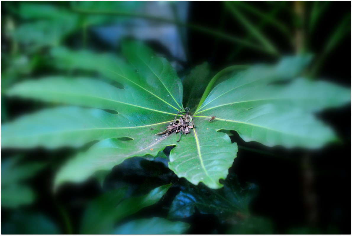 ... ����� ����� ���������(�������) �� PhotoGeek.ru #������ ��� ������� #����� ��������������