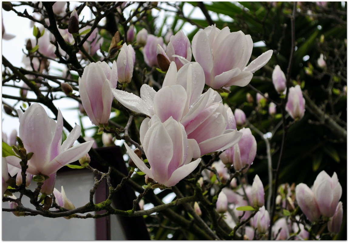 �������� ����� ����� ����� ���������(�������) �� PhotoGeek.ru #����� ��������������