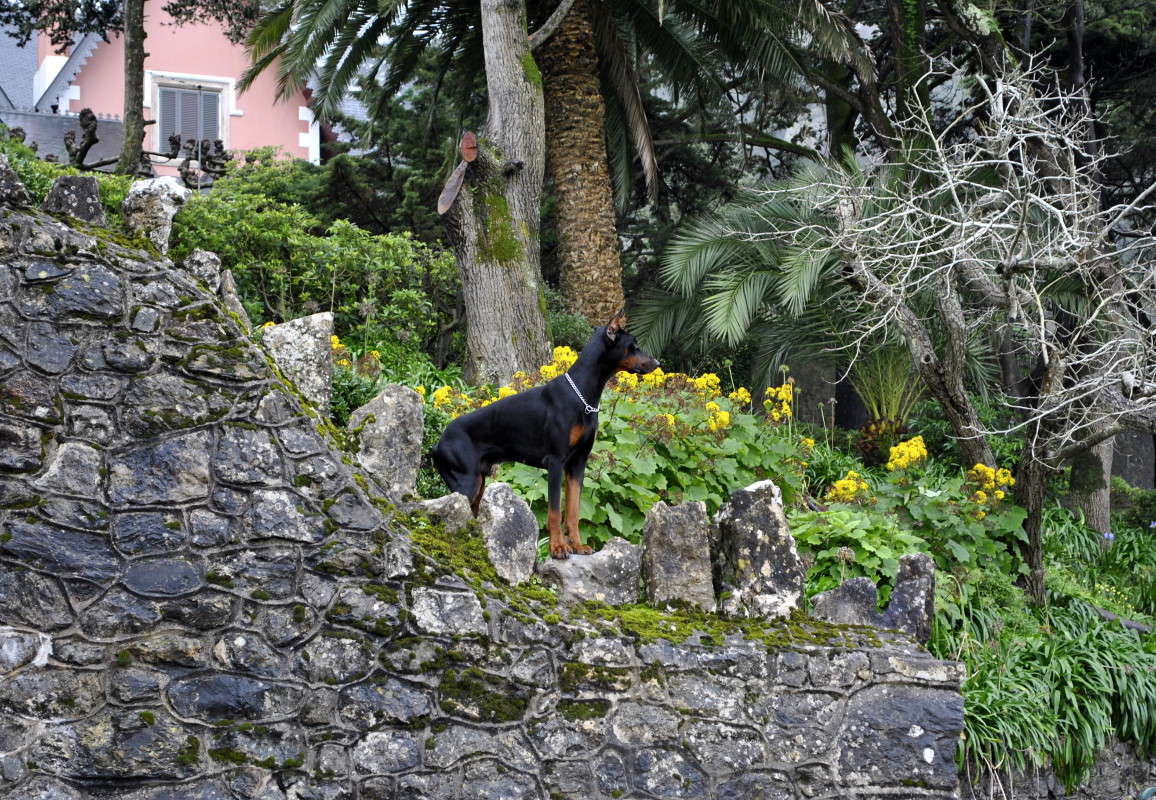 �� ������! ����� ����� ���������(�������) �� PhotoGeek.ru #�������� ���