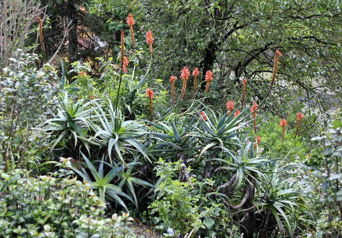 ... ����� ����� ���������(�������) �� PhotoGeek.ru #������ ��� �������