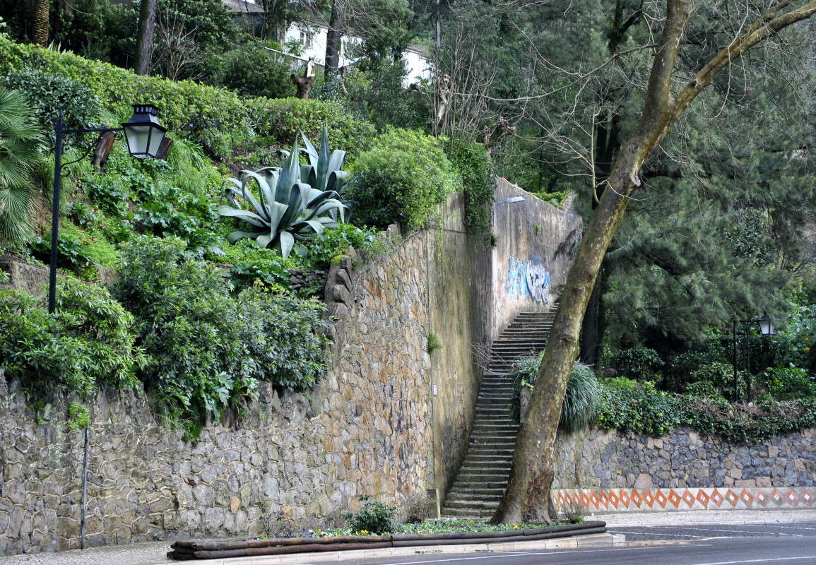 ���������... ����� ����� ���������(�������) �� PhotoGeek.ru #����� #�����������